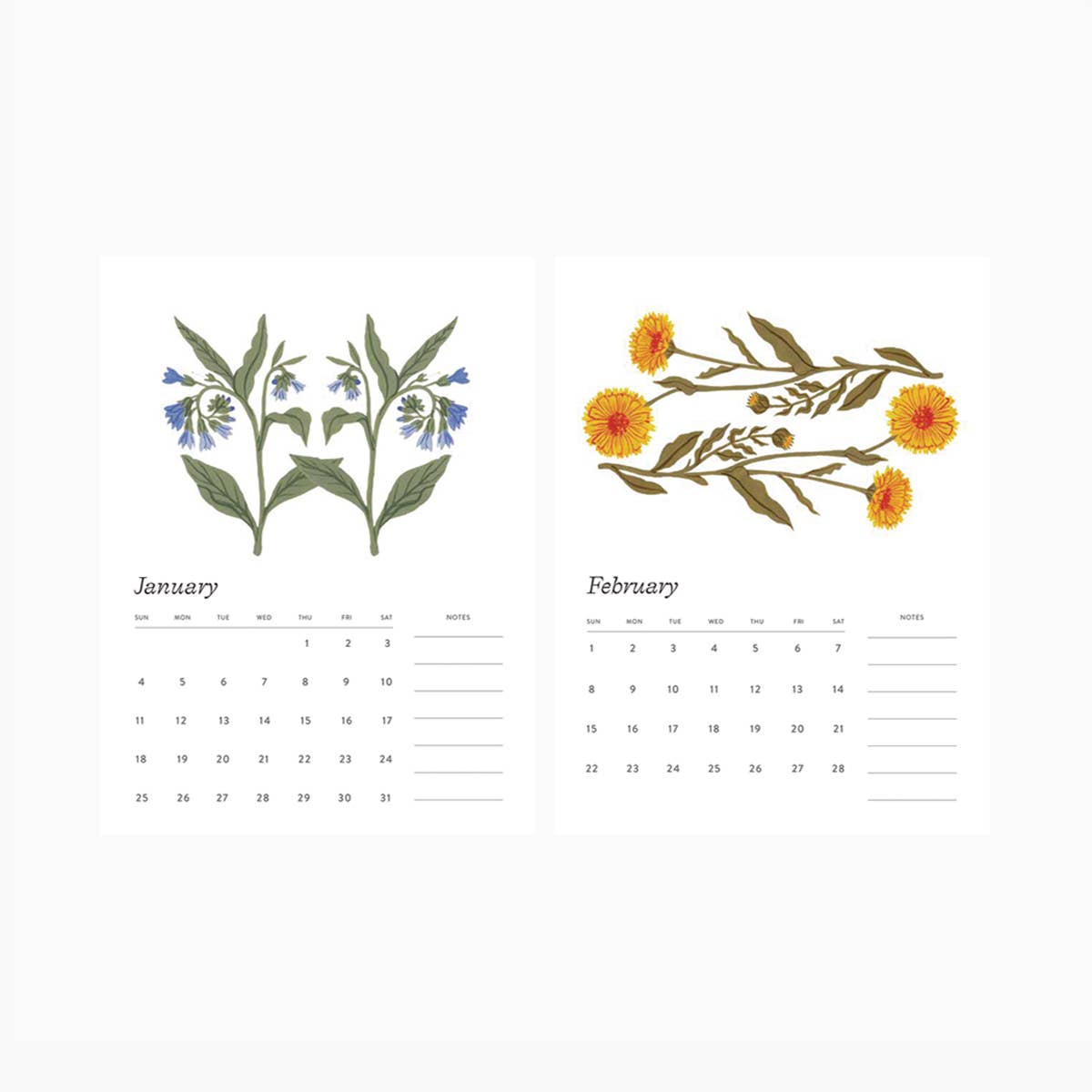Botanica Paper Co. - Wholesale Calendar - 2026 DESK CALENDAR – Botanical Art | Botanist Collection6