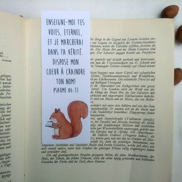 Marcador | Marcador de Esquilo com Versículo Bíblico por atacado de Little Red Fox Designs