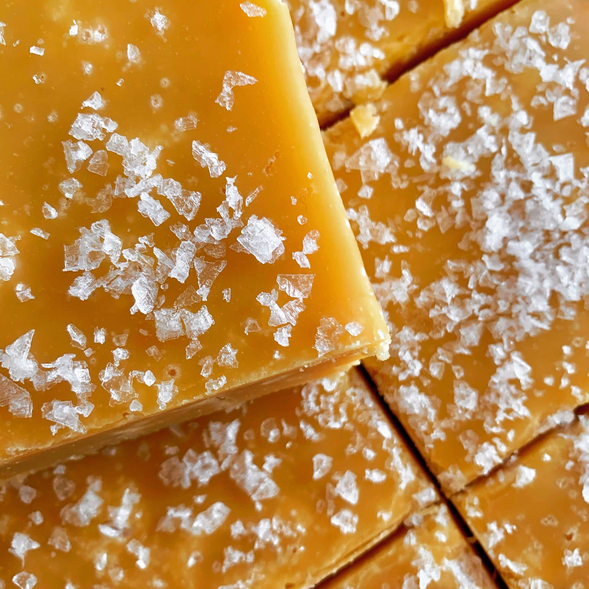 Slab Artisan Fudge - Wholesale Fudge - Vegan karamelfudge met zeezout1