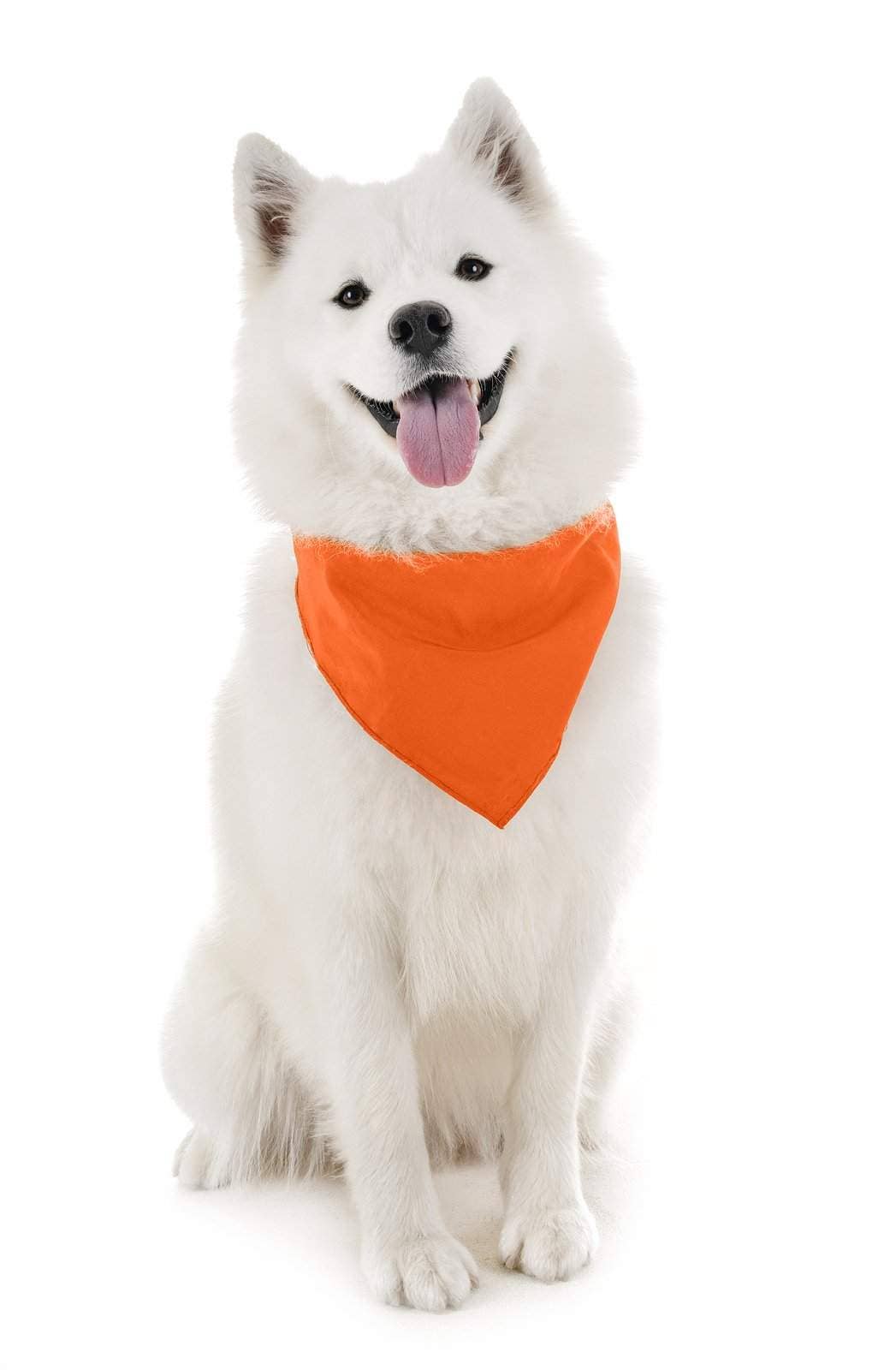 Auction Clearance - Vente Bandana – chien - Bandanas solides Balec pour chien, 4 pièces, écharpe et bavoir triangulaires pour tous les animaux de compagnie de petite, moyenne ou grande taille4