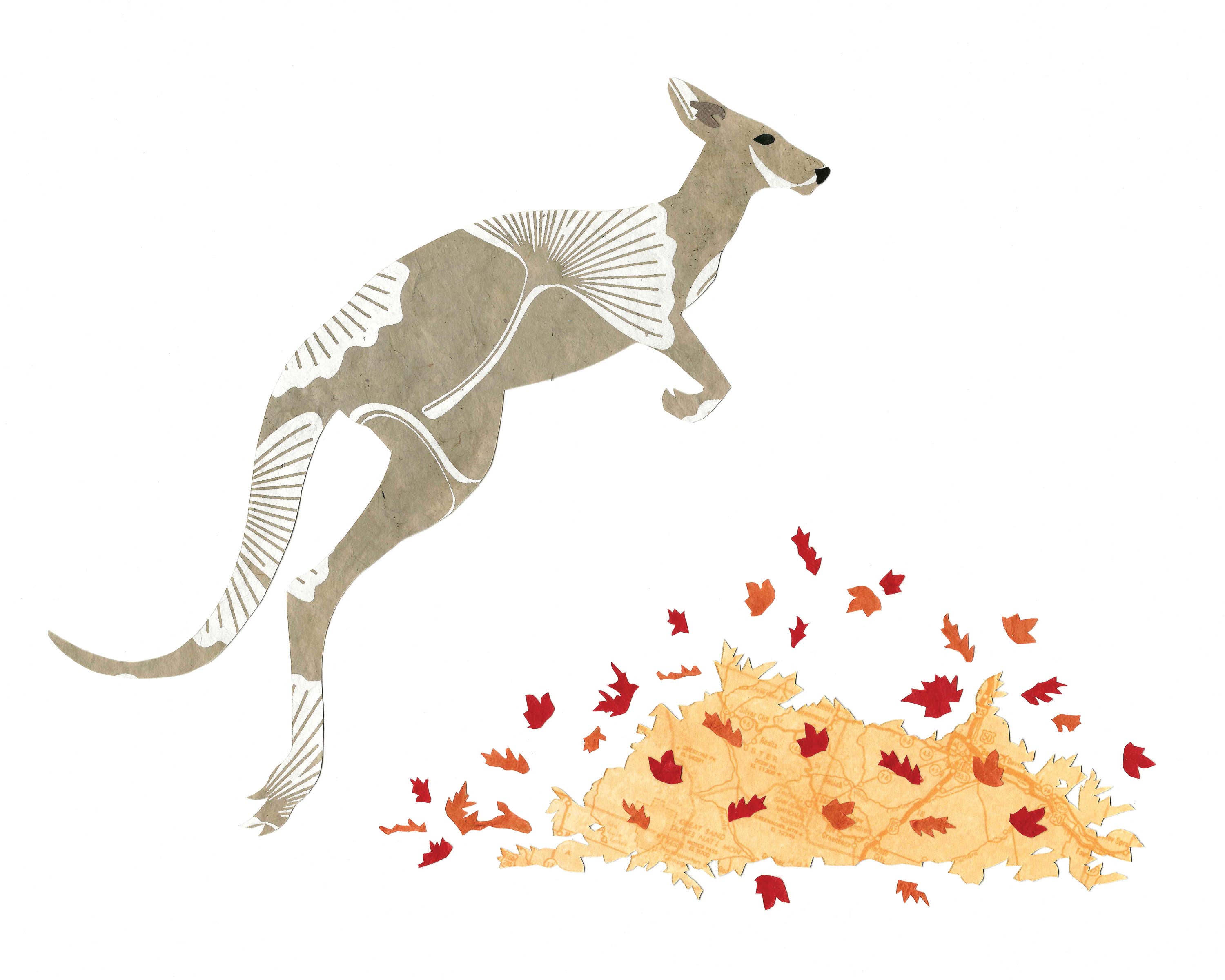 Whimsy Spot - Wholesale Art Print - Kangaroo Art Print1