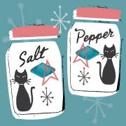 ModMoxGoods - Wholesale Salt & Pepper Shaker Set - MAGNET Salt and Pepper Shakers Retro Vintage Theme1