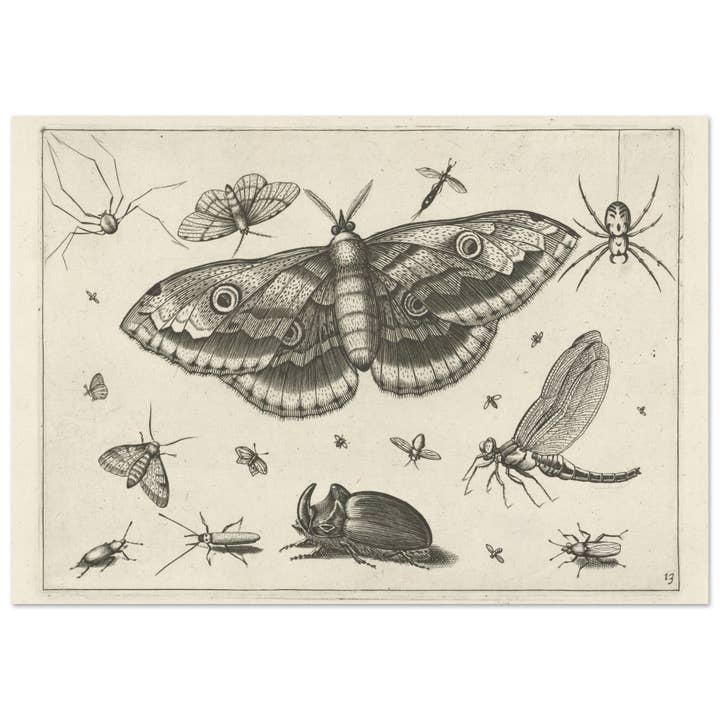 Møl for engroshandel hos Maison de Paloma