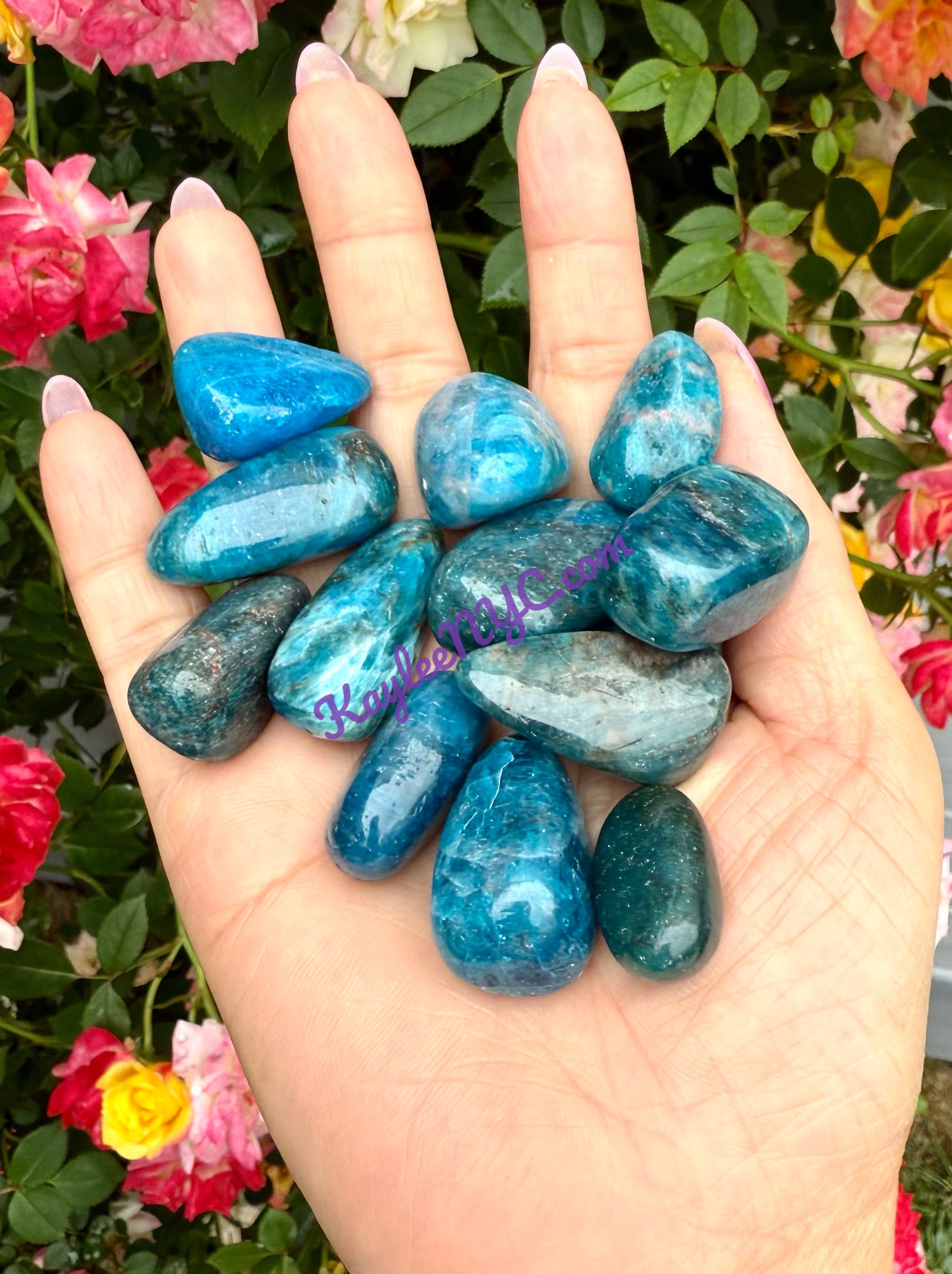 KayleeNYC - Wholesale Spiritual Stone/Crystal - 2 Lbs Natural Apatite Tumble Healing Energy4