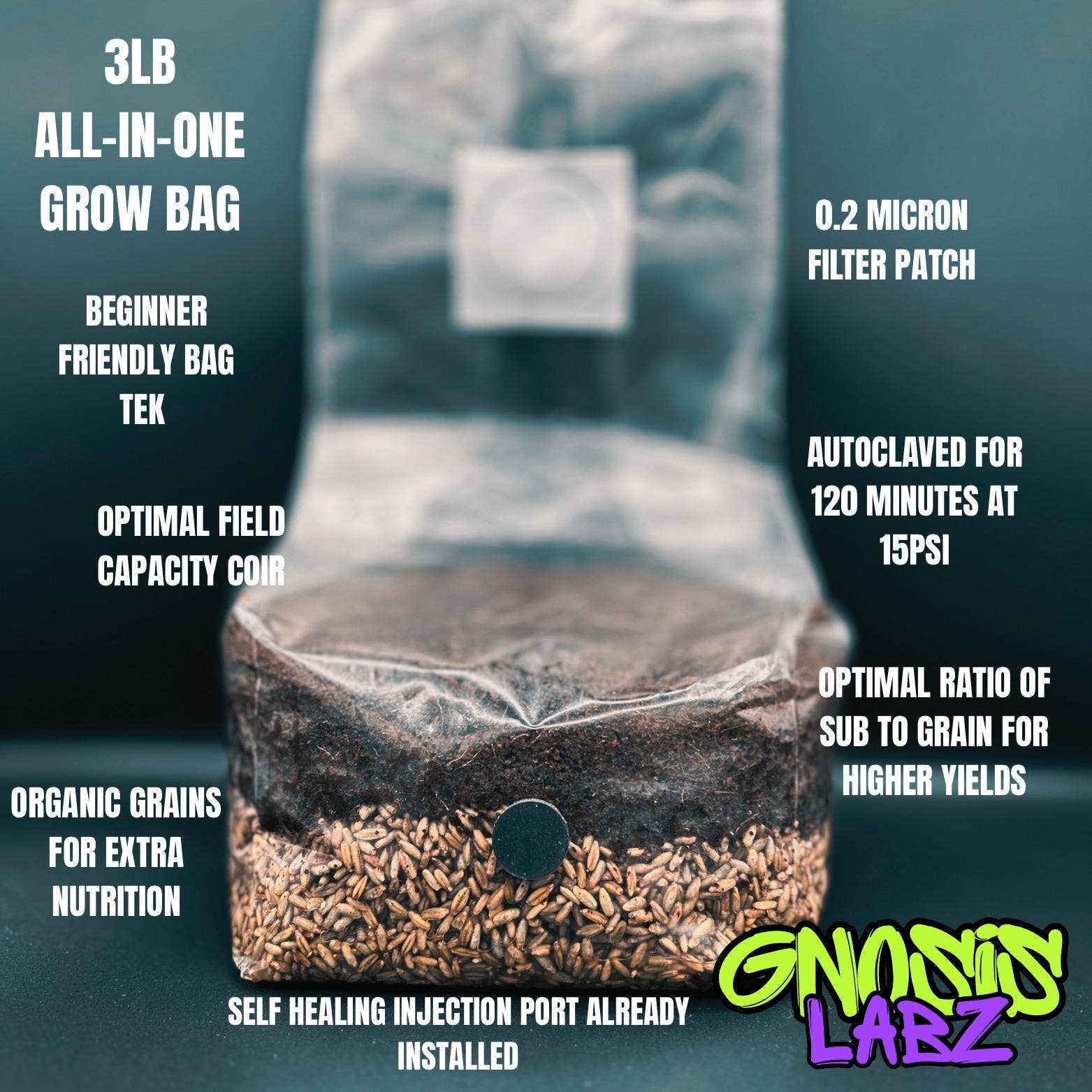 Gnosis Labz - Wholesale DIY Craft Kit - One Dozen All in One Mushroom Grow Kit Bags (3lbs) with Injection Port and Filter Patch!1