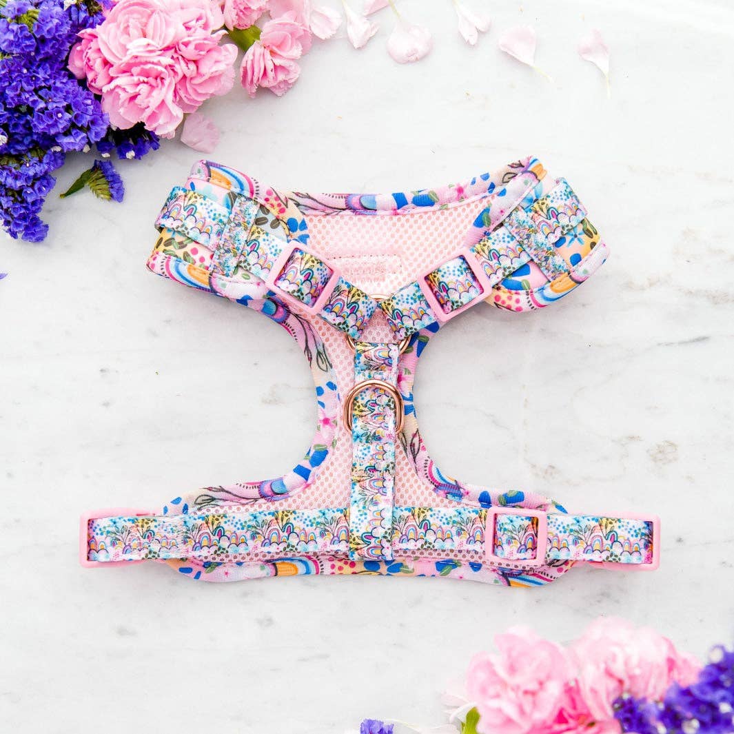 Pawfect Pals – Arnês – Cão por atacado – Peitoral ajustável Got it Glowing On - Boho Vibes sem puxão1