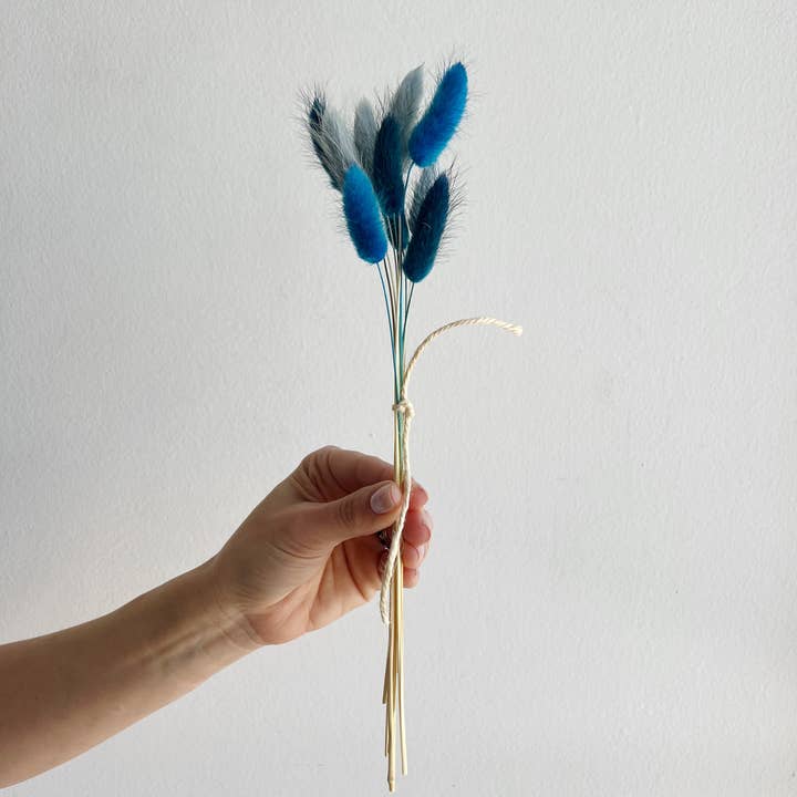 House of Lilac – wholesale Dried/pressed flowers – Dried Flower Bunny Tail Bundles7