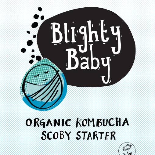 Blighty Booch Kombucha – Engroshandel DIY-drikkekit – Blighty Baby Kombucha Starter Fuldt sæt - Unik gave