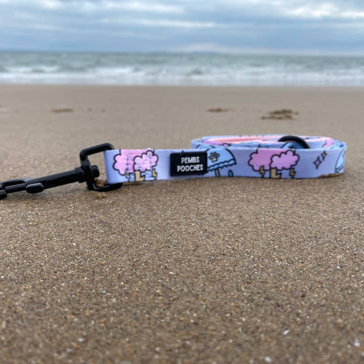 Pembrokeshire pooches - Wholesale Pet Leash - Dog - don't step in a pooodle lead