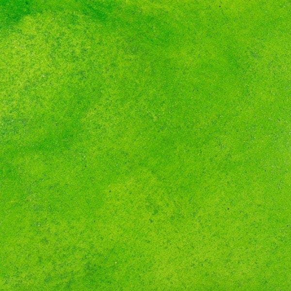 Ecstasy Crafts Distributing - Wholesale Craft Supplies - Cosmic Shimmer Lustre Polish5