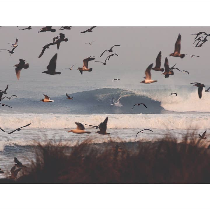 Freedom for wholesale by Pedro Bala