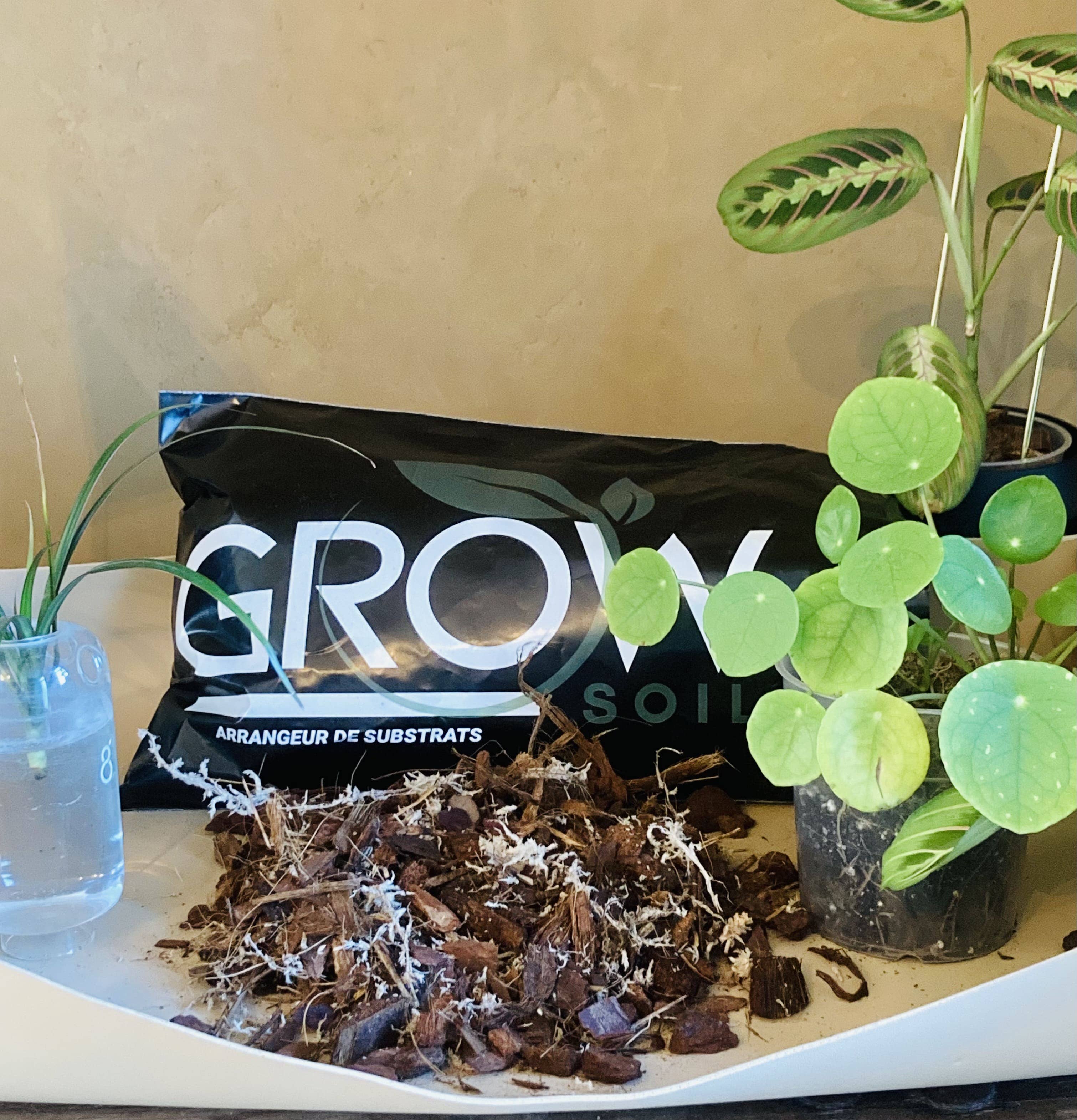 Grow-Win - Wholesale Planting/Potting Soil - Orchid substrate 4L, special phalaenopsis potting soil