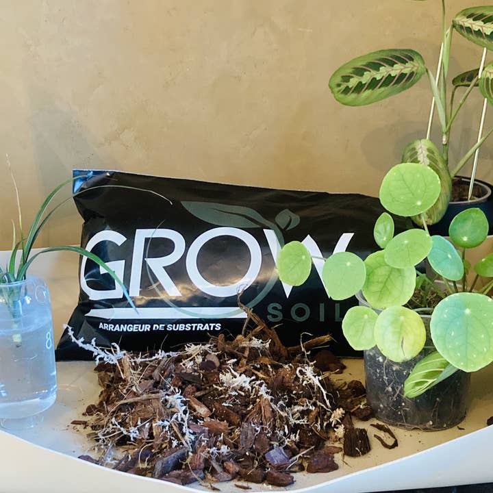 Substrat pour orchidées 4L , terreau spécial phalaenopsis et autres tendances Résultats pour terreau à vendre en vente B2B. Retours gratuits et paiement à 60 jours sur Faire sur Faire.