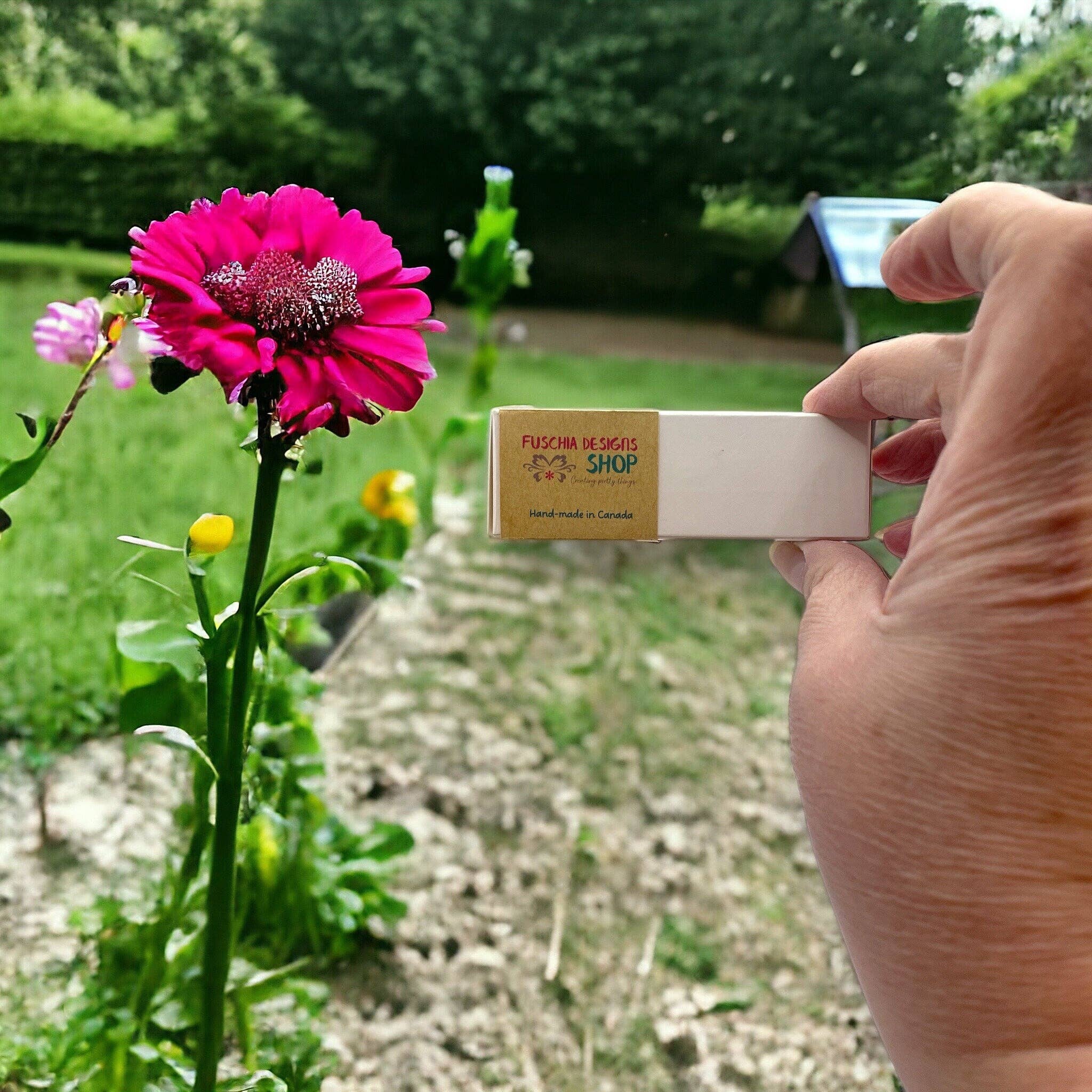 Fuschia Designs Shop - Wholesale Plant Seeds - Seed Bombs - 6 Pack - Canadian Wildflower6