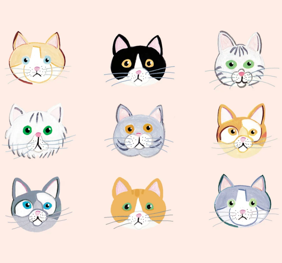 Paige & Willow - Wholesale Everyday Greeting Card - Illustrated Cats Card from Animal Collection2
