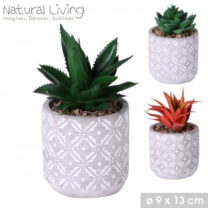 AUM Fragrances - Wholesale Artificial Plant - Artificial Succulent Vase