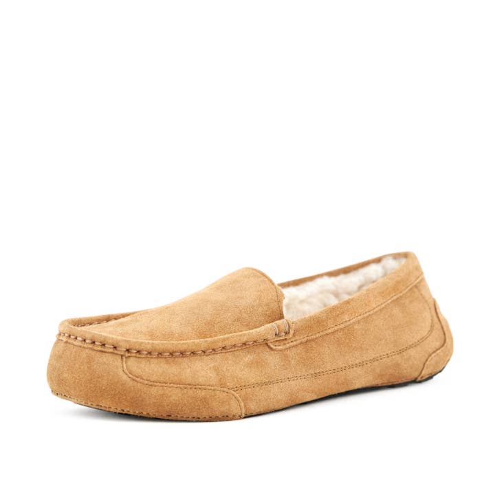 Women's Toasty Camel for wholesale by Nest Shoe