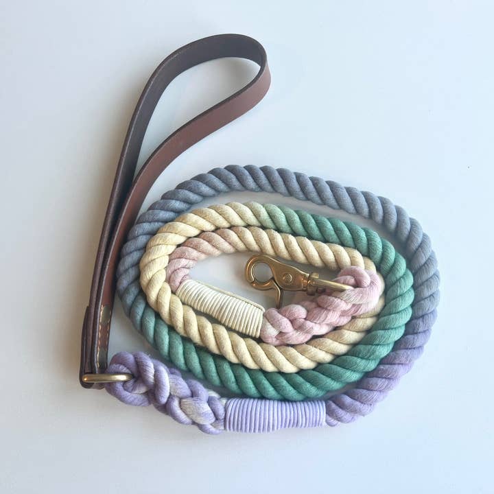 Correa para perro color pastel con forma de arcoíris ombré y asa de piel marrón para venta al por mayor de Daisy Dukes Designs