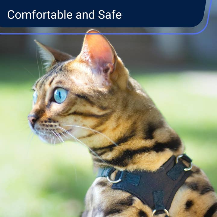 Outdoor Bengal - Wholesale Pet Harness - Cat - Houdiniâ„¢ Cat Harness and Leash - Escape Resistant, Light and Safe