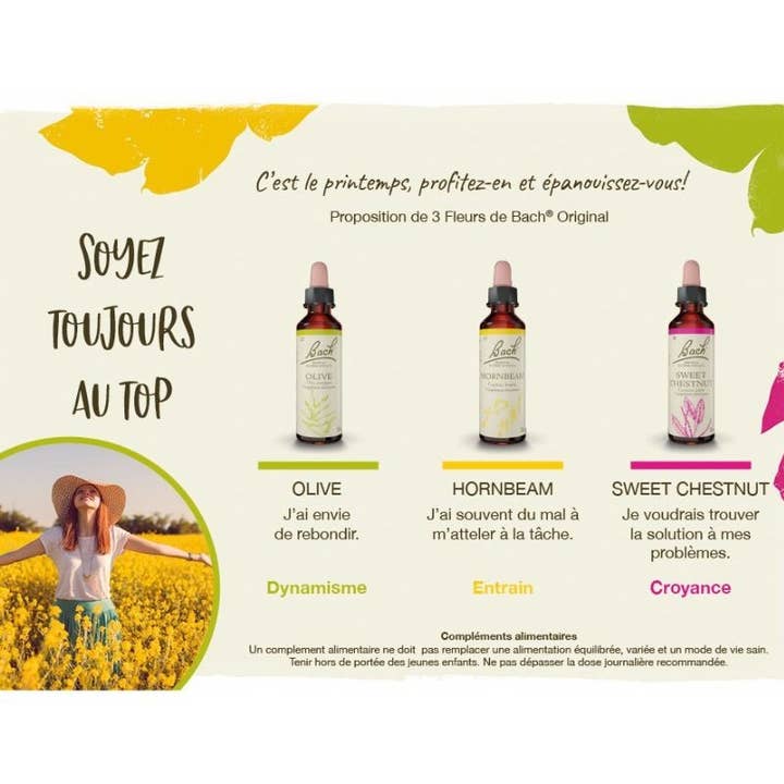 Ecohesens - Wholesale Oral Supplement/Vitamin - Chestnut (Sweet Chestnut) 20 ml - Bach Original2