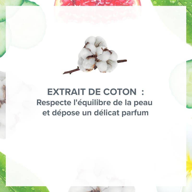 Evoluderm - Wholesale Deodorant - Unisex - Cotton Cloud Antiperspirant Soft Deodorant2