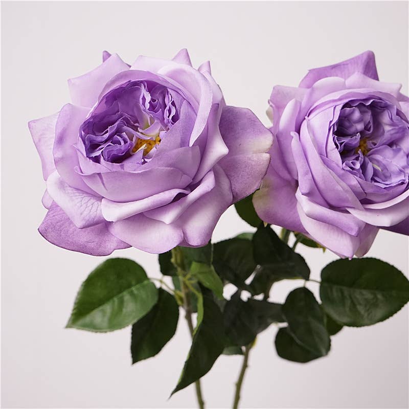 Angel Isabella - Wholesale Artificial flowers - 27"-Lux Faux Juliet Rose-Moisturizing Finish-5"Bloom2