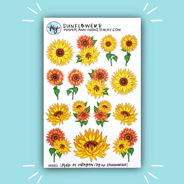 Girasoli per la vendita all'ingrosso da parte di Planning With Kay