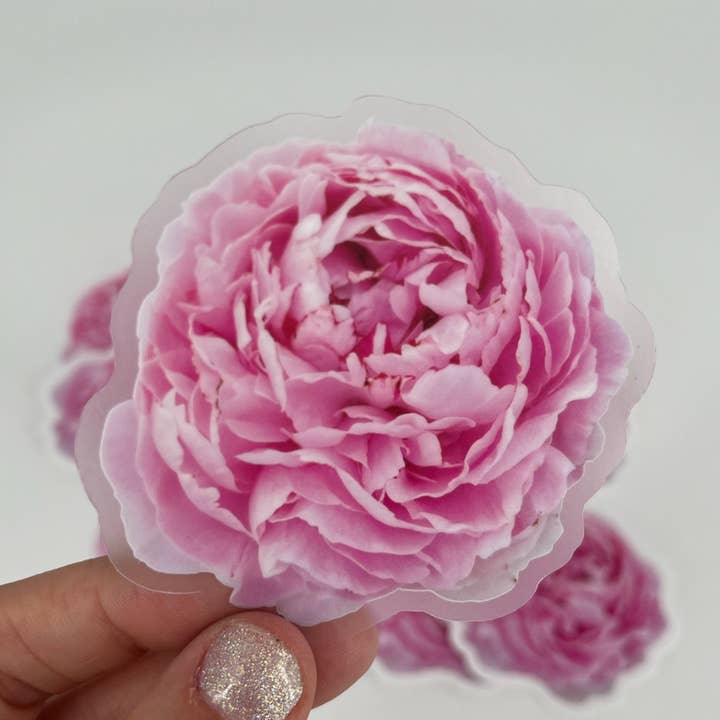 Pink Peony Flower Sticker, 3x3in for wholesale by Lakota Lane LLC