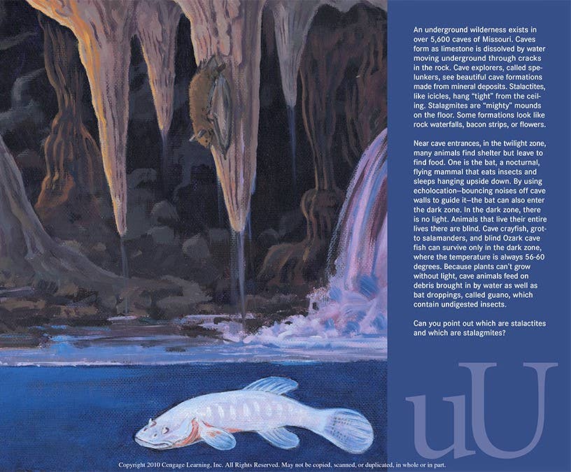 Sleeping Bear Press - Wholesale Preschool Book (3-5) - S is for Show Me: A Missouri Alphabet Picture Book5