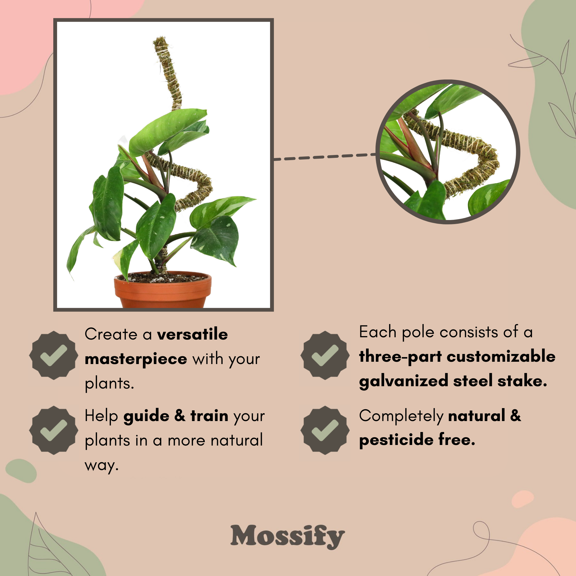 Mossify - Wholesale Garden Tool - 3 Pack Bendable Moss Pole Thin – Flexible Support for Plants8
