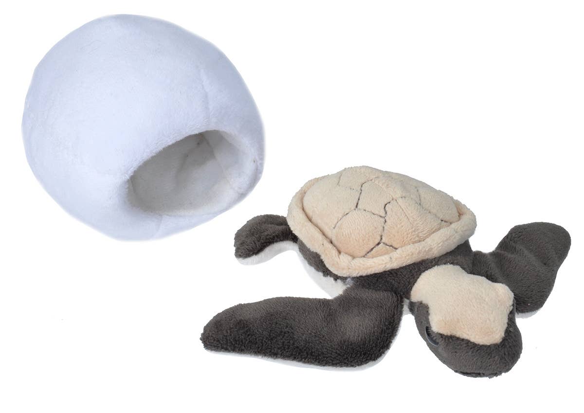 Wild Republic - Wholesale Stuffed/Plush Toy - Kids & Baby - Hatchling Hawksbill Sea Turtle Stuffed Animal 6"0
