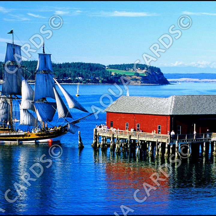1275 - Hawaiian Chieftan Docking At The Wharf for wholesale by Aqua Cards