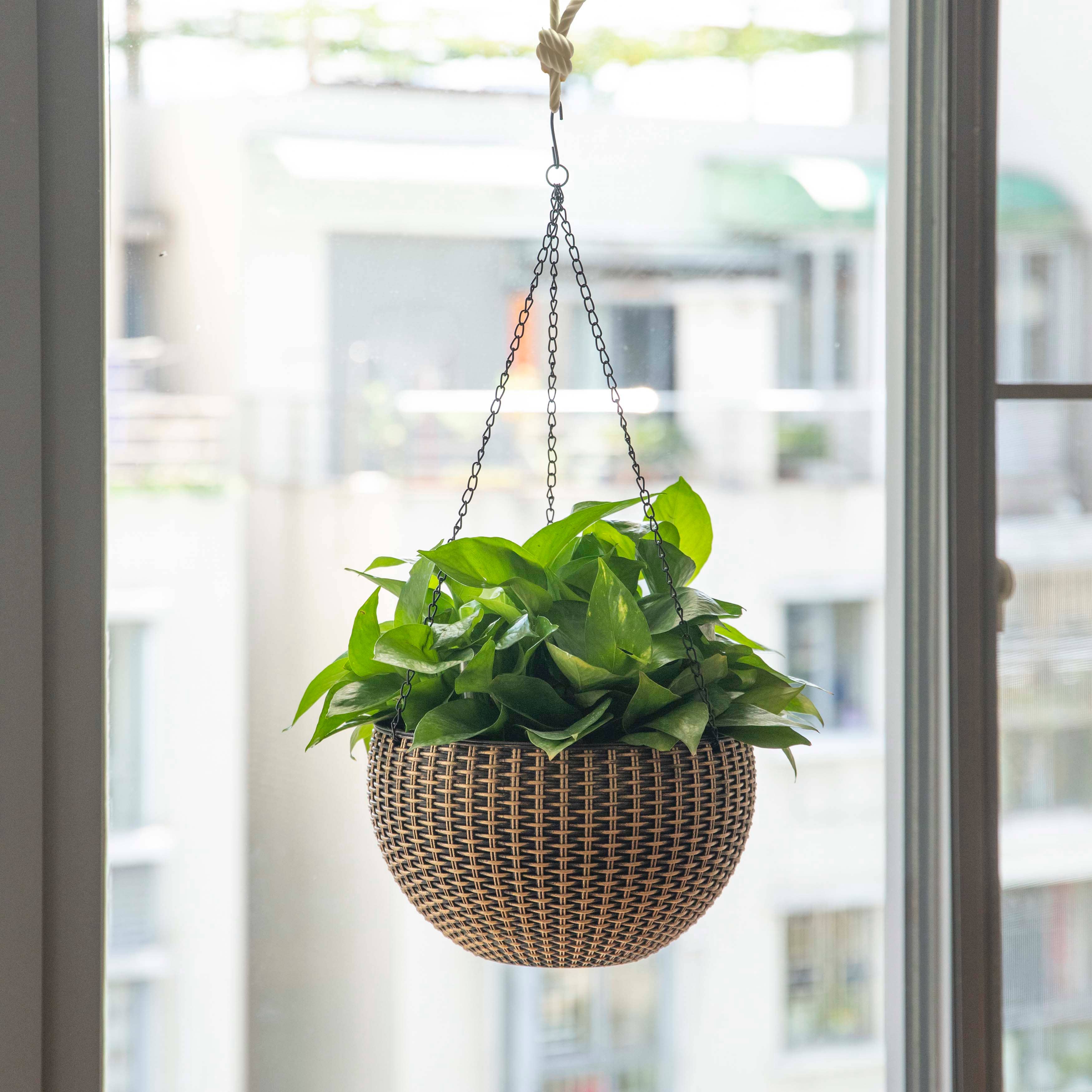 Quickway Imports - Wholesale Hanging Planter - 10" Self Watering Bronze Hanging Basket Flower Planter6