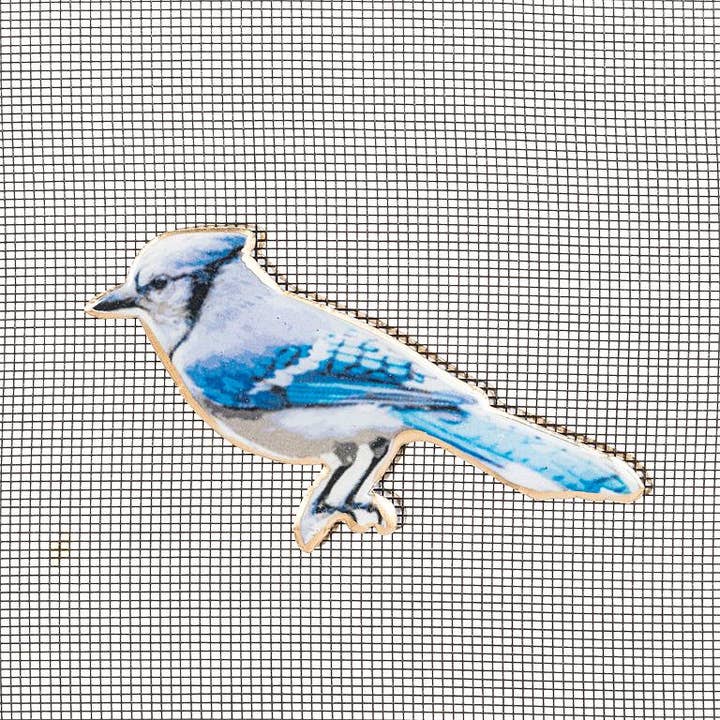 Blue Jay Two-Sided Magnet Decor-2"H for wholesale by Abbott
