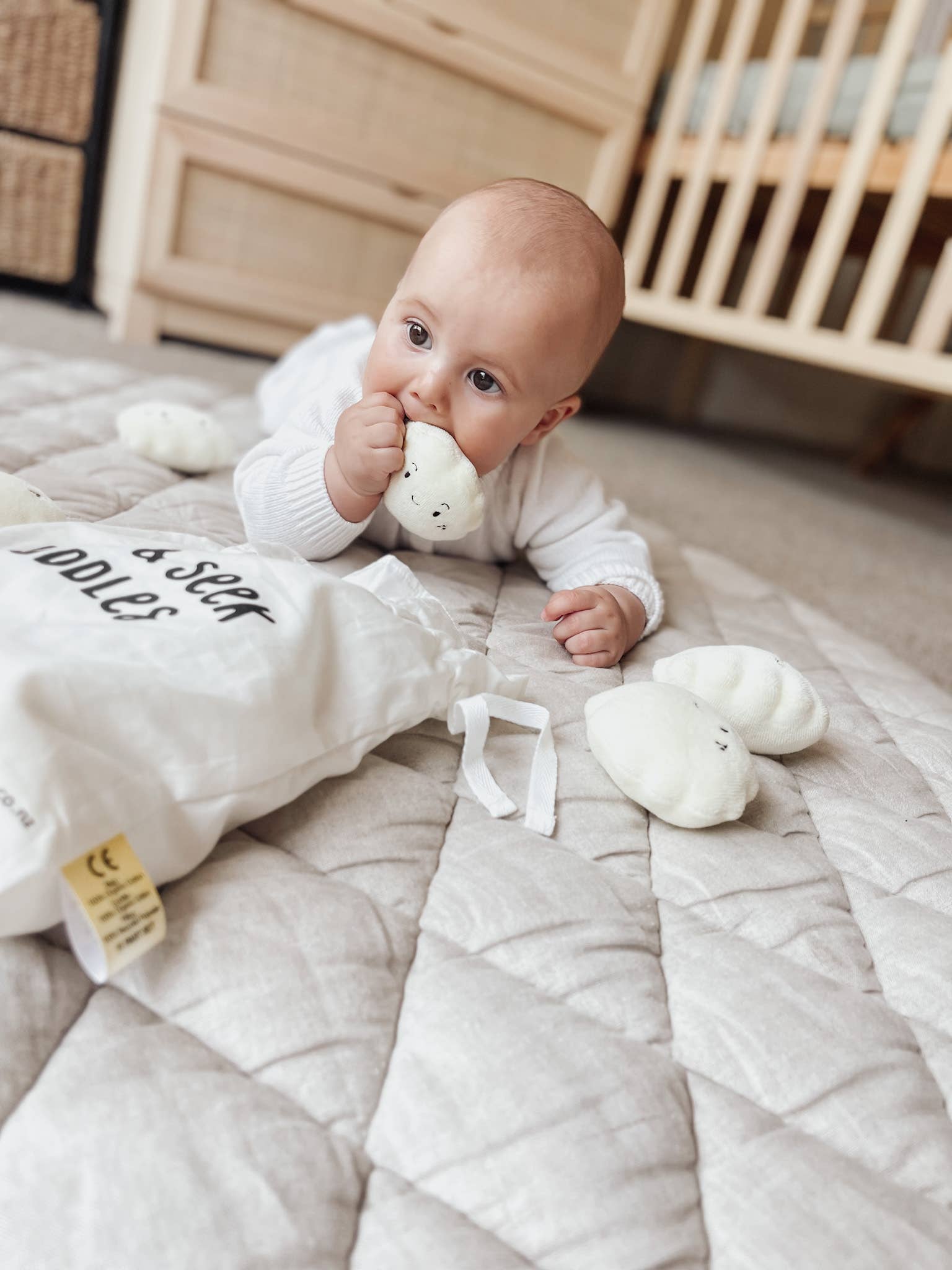 The Kiss Co – wholesale Stuffed/plush toy – Kids & baby – Hide & Seek Cuddles2