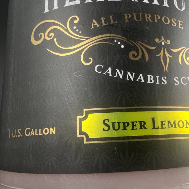 Super Lemon Haze One Gallon Cannabis Scented Liquid Castile for wholesale by Herbanology Aromatics