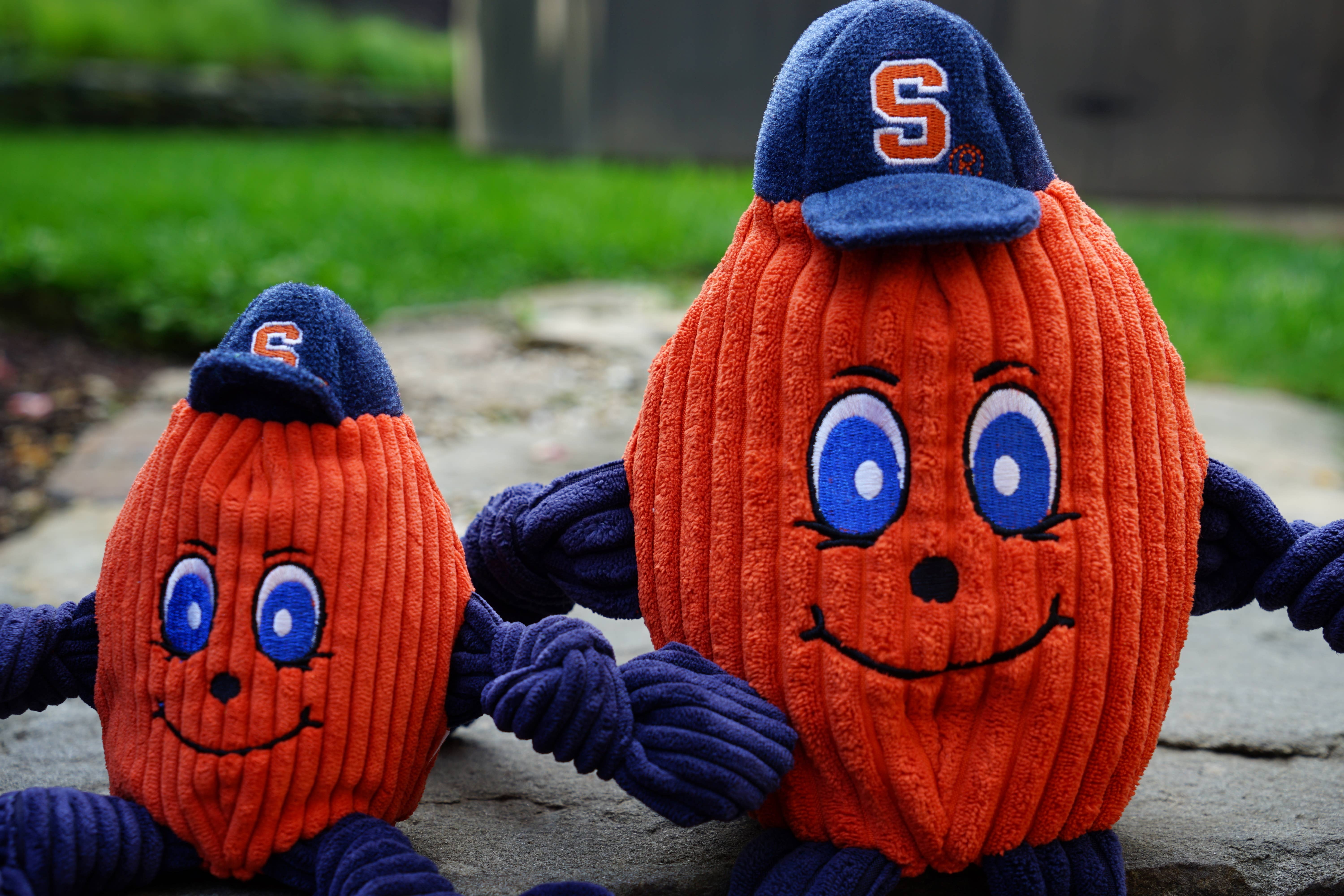 HuggleGroup - Vente Peluche – chien - Université de Syracuse, jouet en peluche Otto the Orange Knottie®5