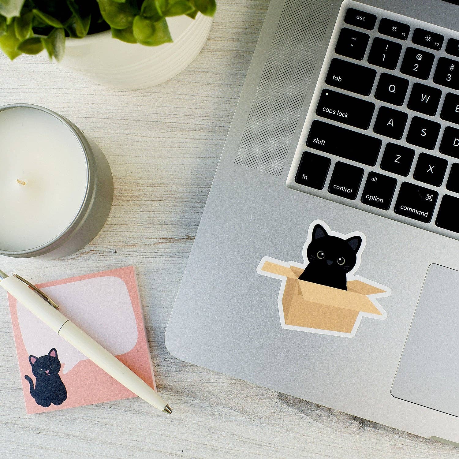 Chester and Pearl – Engroshandel Klistermærke – Sort kat i boks 2,5x3-in. Vinyl klistermærke2