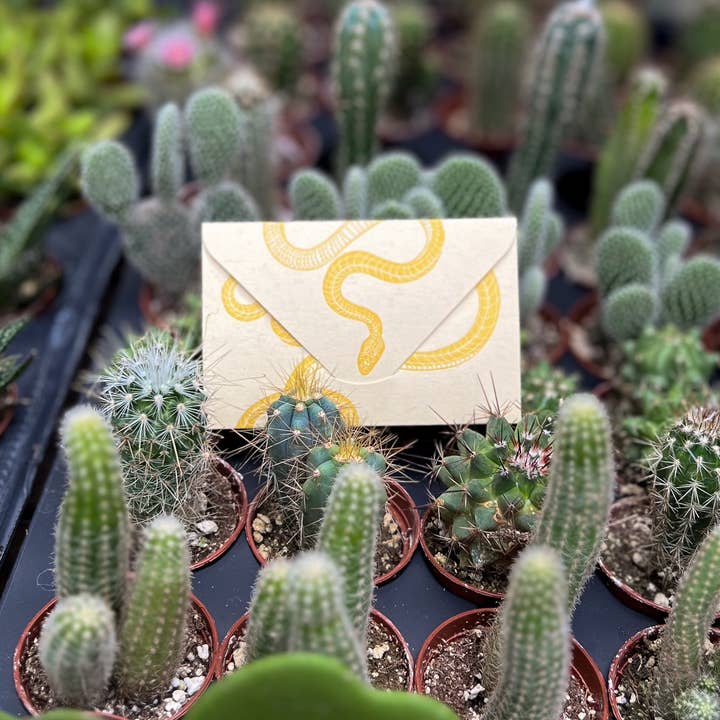 Blackbird Letterpress - Wholesale Everyday Greeting Card - snake yellow gold mini card8