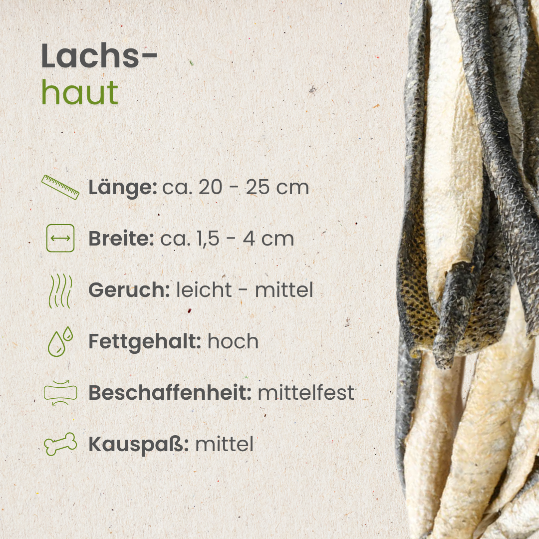 Kauartikel.com GmbH – wholesale Godis - Hund – Laxskinn naturligt tuggben för hundar2