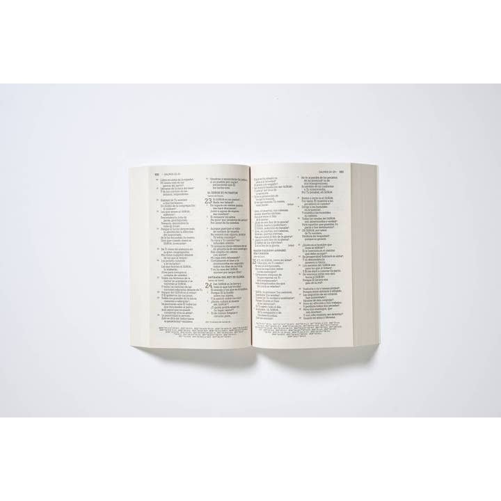 HarperCollins Christian Publishing - Wholesale Religion - NBLA, Santa Biblia, Edición misionera, Letra grande, Tapa r4