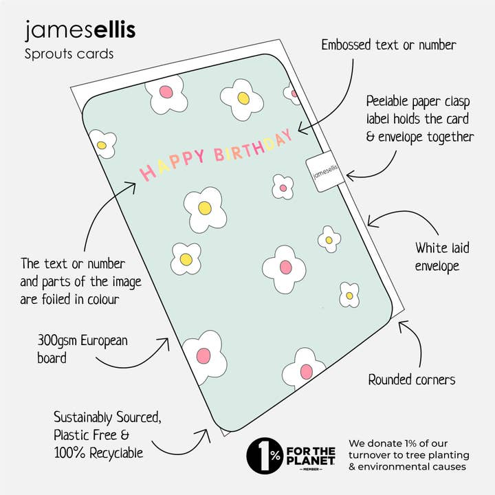 James Ellis - Wholesale Birthday Card - Birthday Ice Cream Sprouts Card