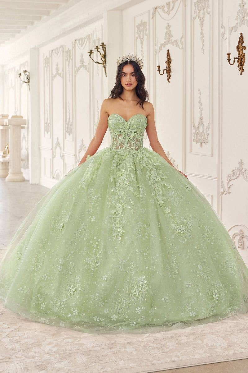 Tux-USA® - Wholesale Gown - Women's - Floral Quinceanera Ball Gown With Cape1