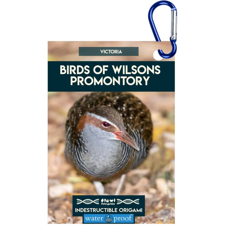 Oiseaux du promontoire de Wilson - Origami indestructible pour la vente par Flexi Field Guides