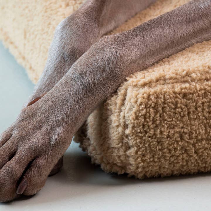 Trimmi - Wholesale Pet Bed - Dog - Orthopedic dog bed Teddy camel5