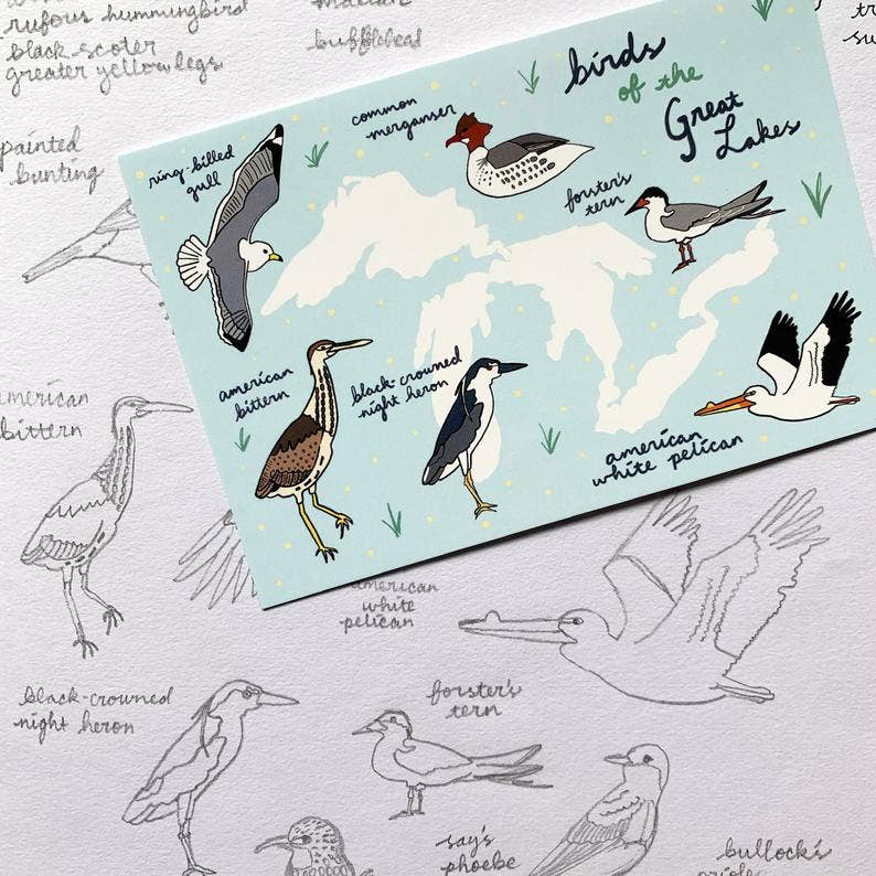 Made by Nilina - Wholesale Postcard - Great Lakes Birds Postcard - Ohio, Michigan Souvenir3
