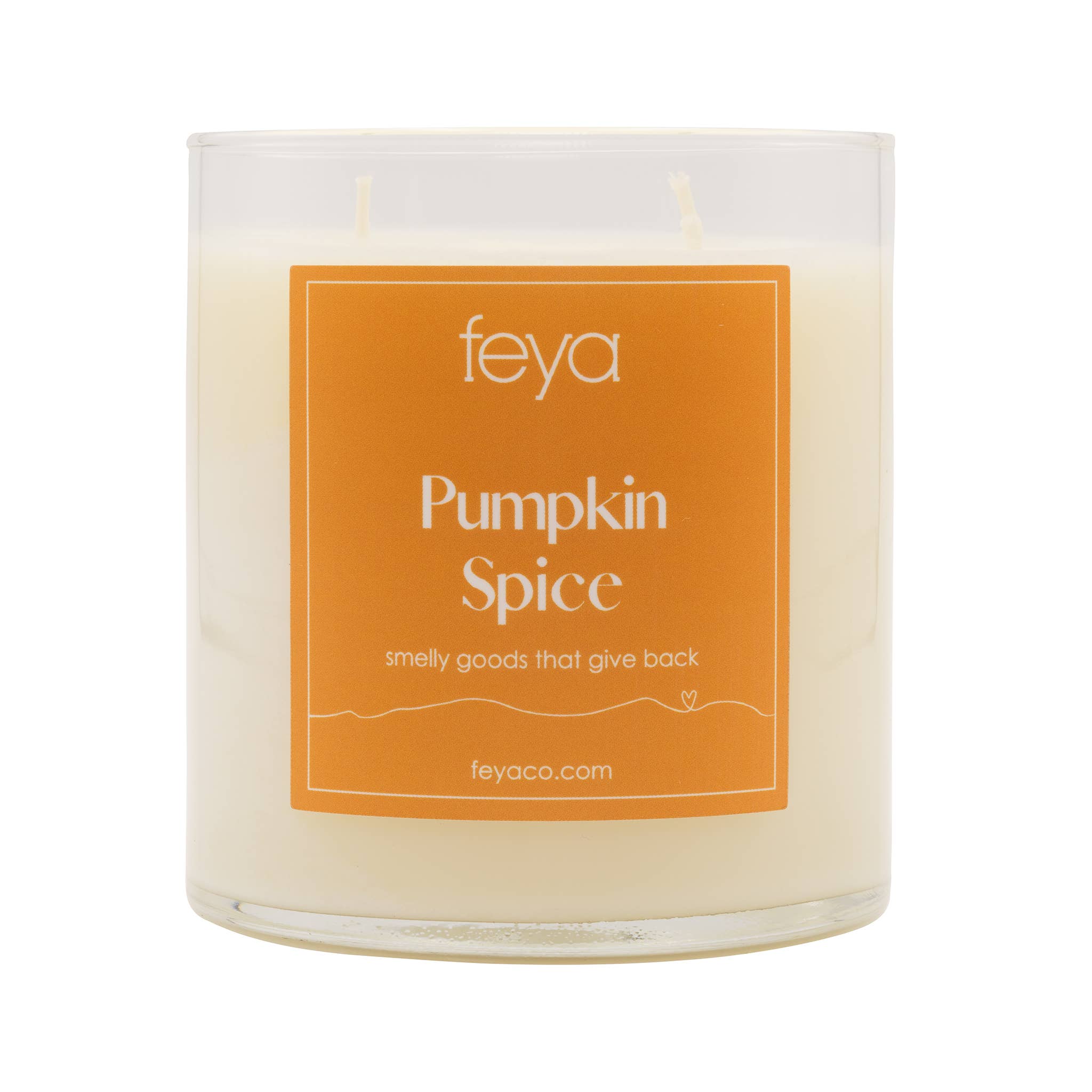 Feya Co. – wholesale Jar/filled candle – Pumpkin Spice Candle 17oz, Half Pack