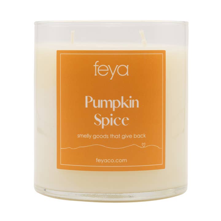 Candela Pumpkin Spice 17oz, mezza confezione per la vendita all'ingrosso da parte di Feya Co.