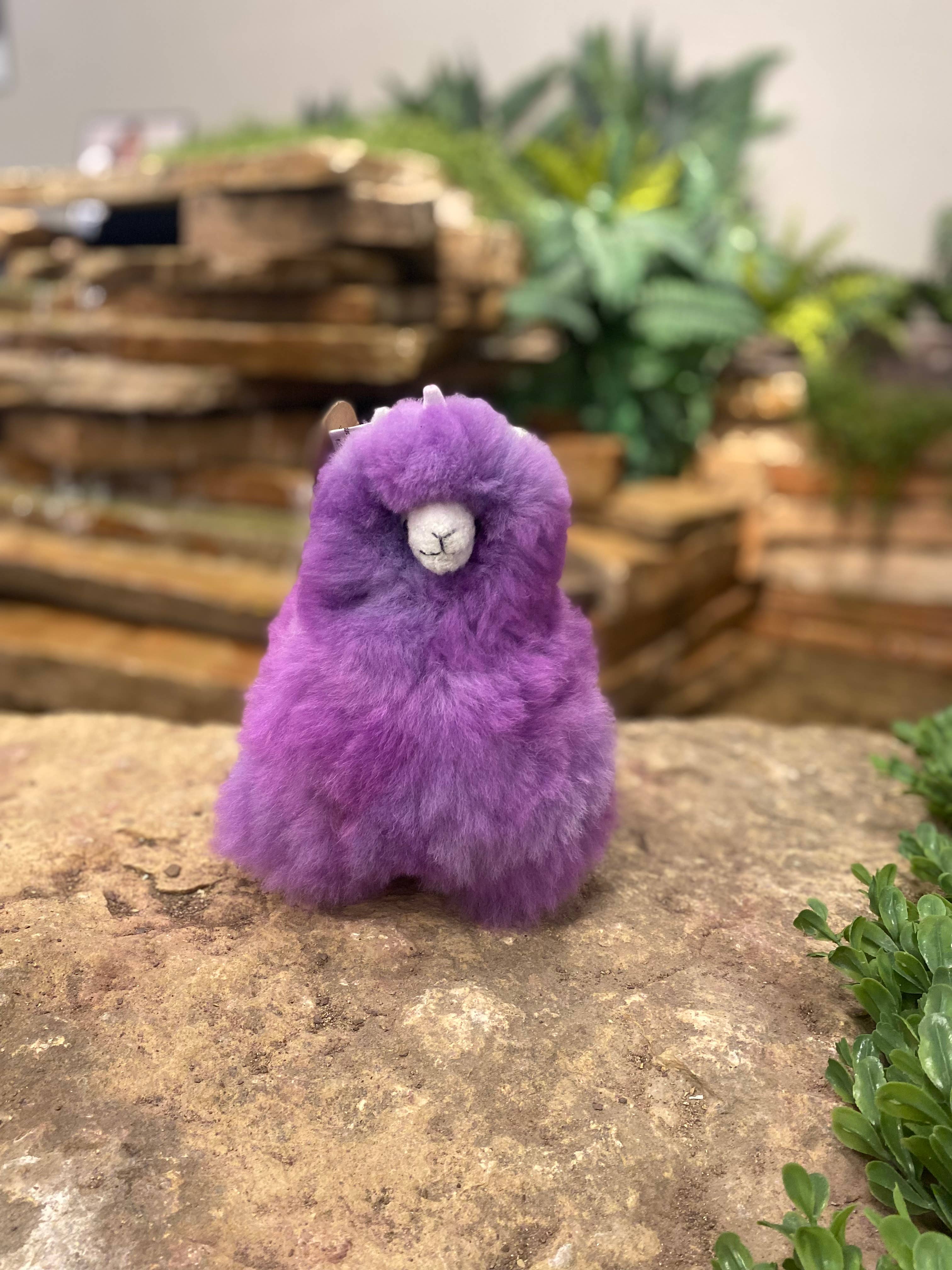 Blossom Inspirations - Wholesale Stuffed/Plush Toy - Kids & Baby - Llamacorn Alpaca Fur Toy15