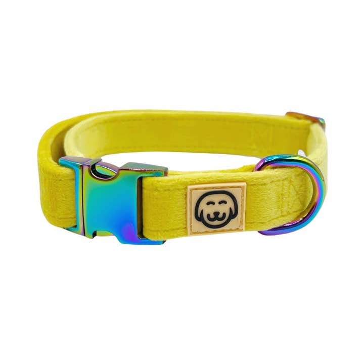 Sunshine Velvet - Dog Collar for wholesale by Molly & Co.